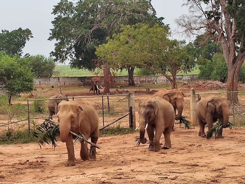 wasana leisure tour